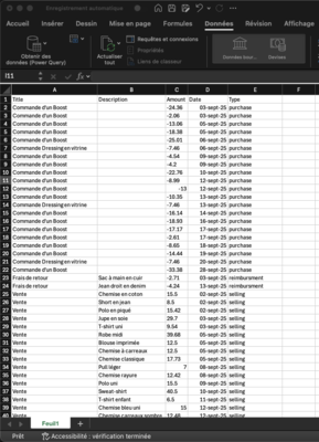 Données Vinted dans Excel