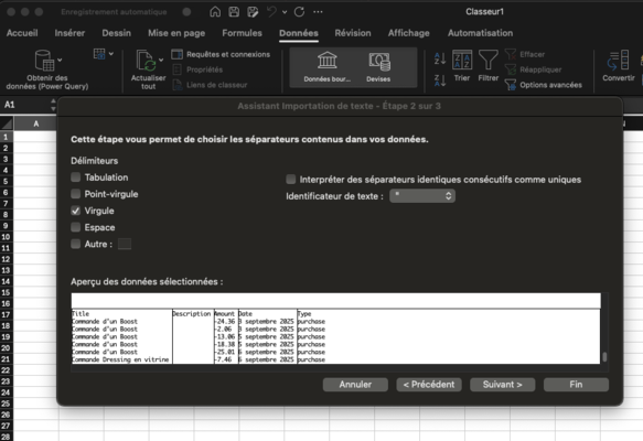 Assistant d'importation des données Vinted Extended Wallet dans Excel